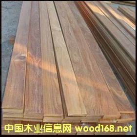 ���ᶹ/���P̴ 