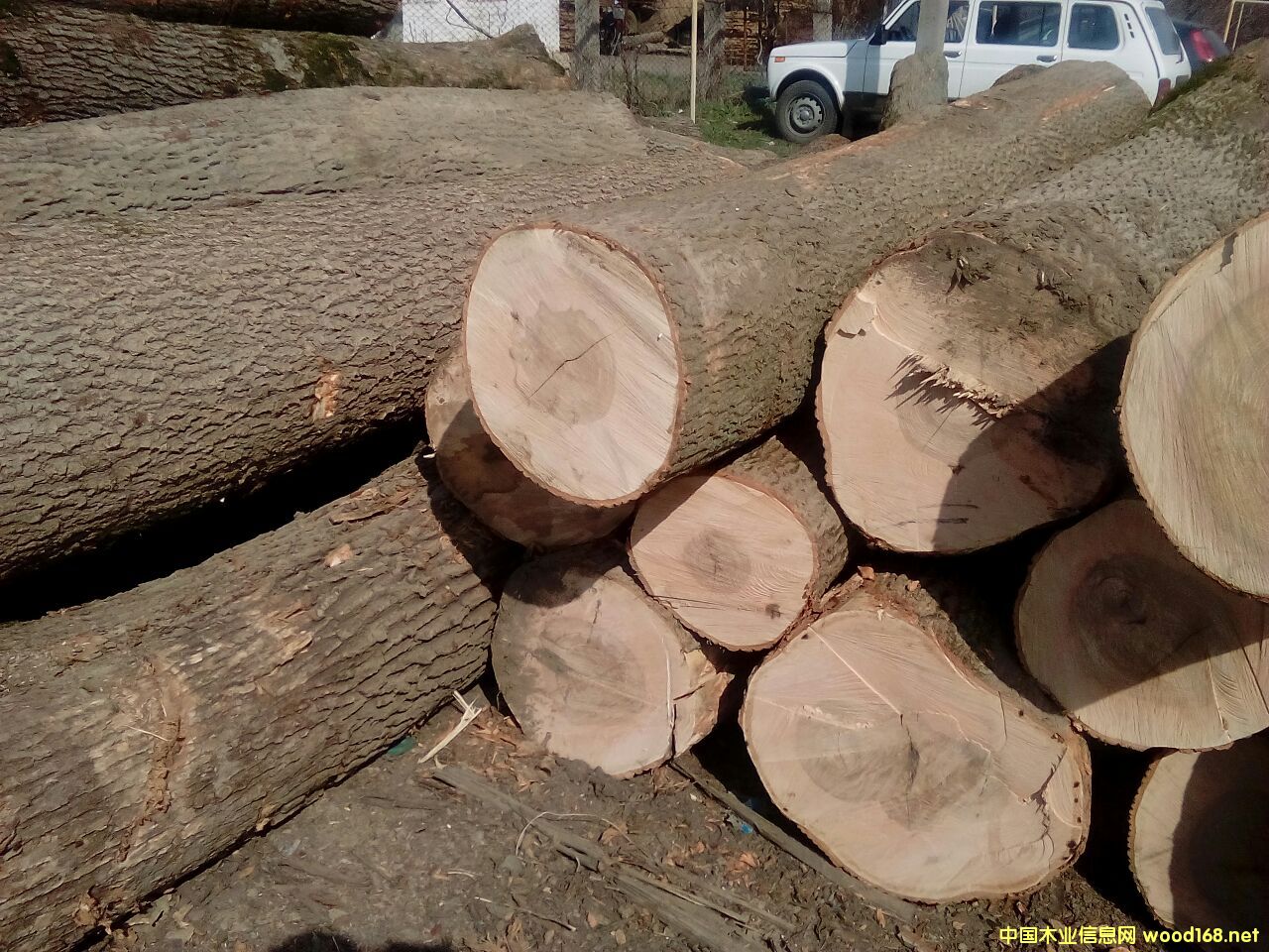 �W��ˮ����ash