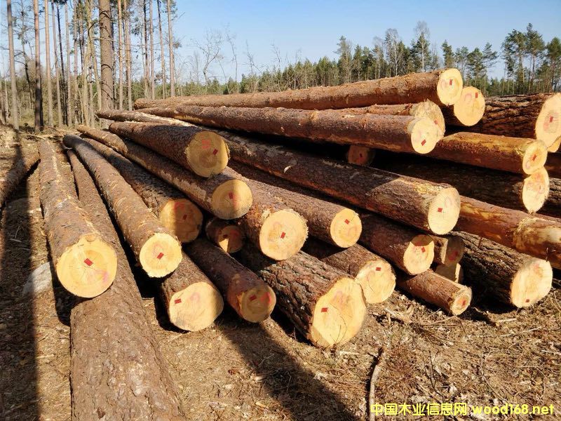 ������ԭľ��Ԕ����B