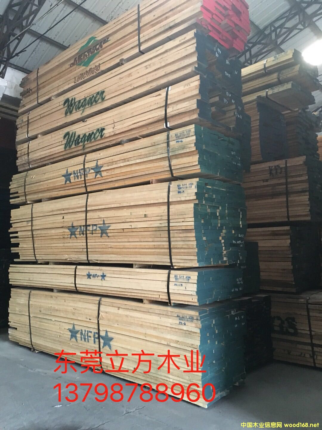 ������Ϟľ