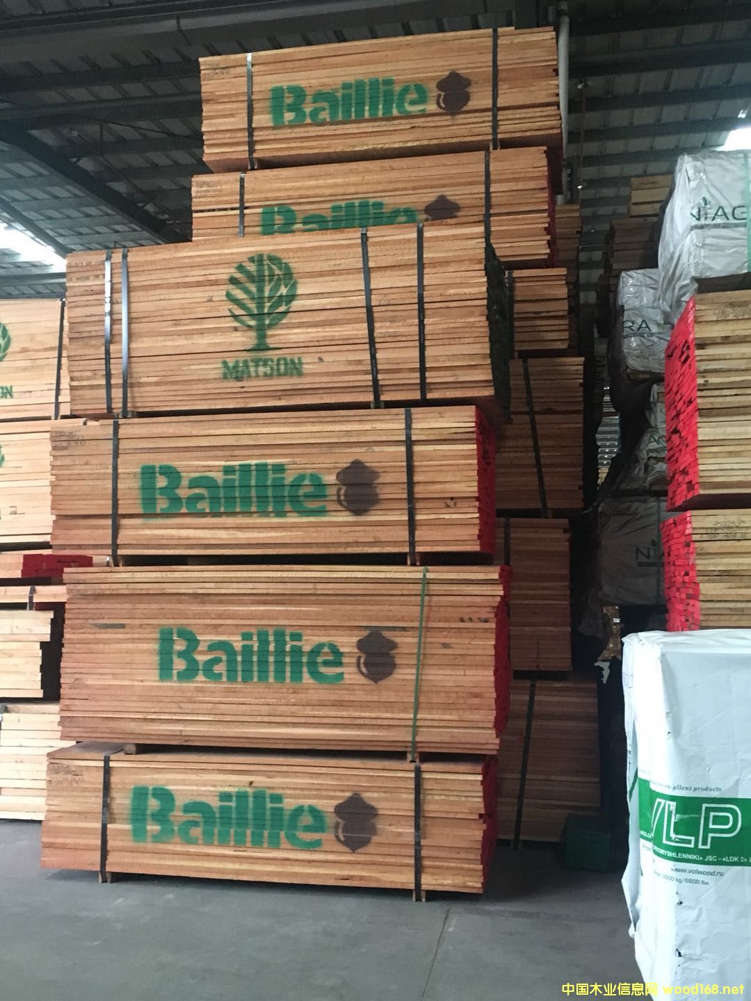 ����(gu��)����ľ