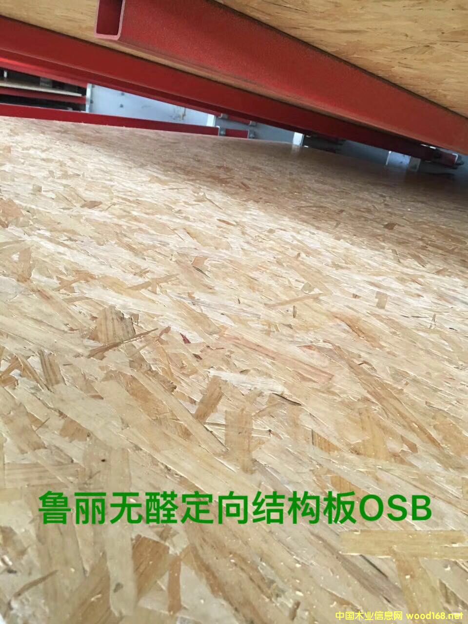 �����W�ɰ�