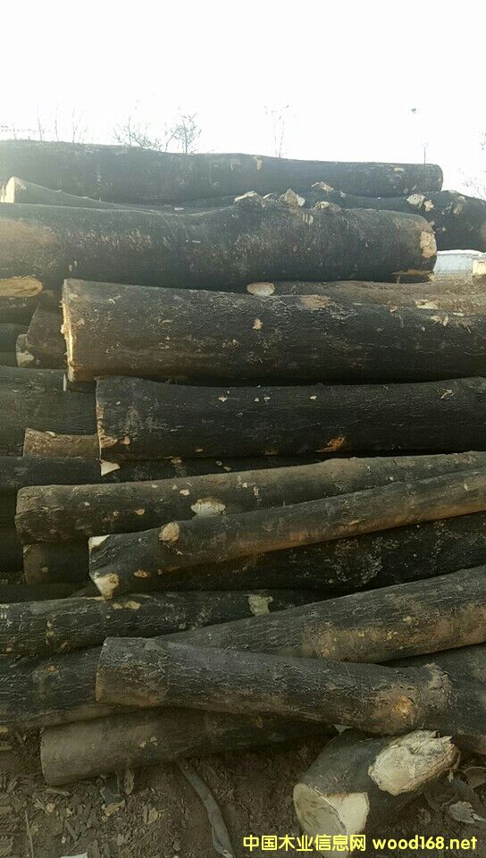 ���۰״�ľԭľ