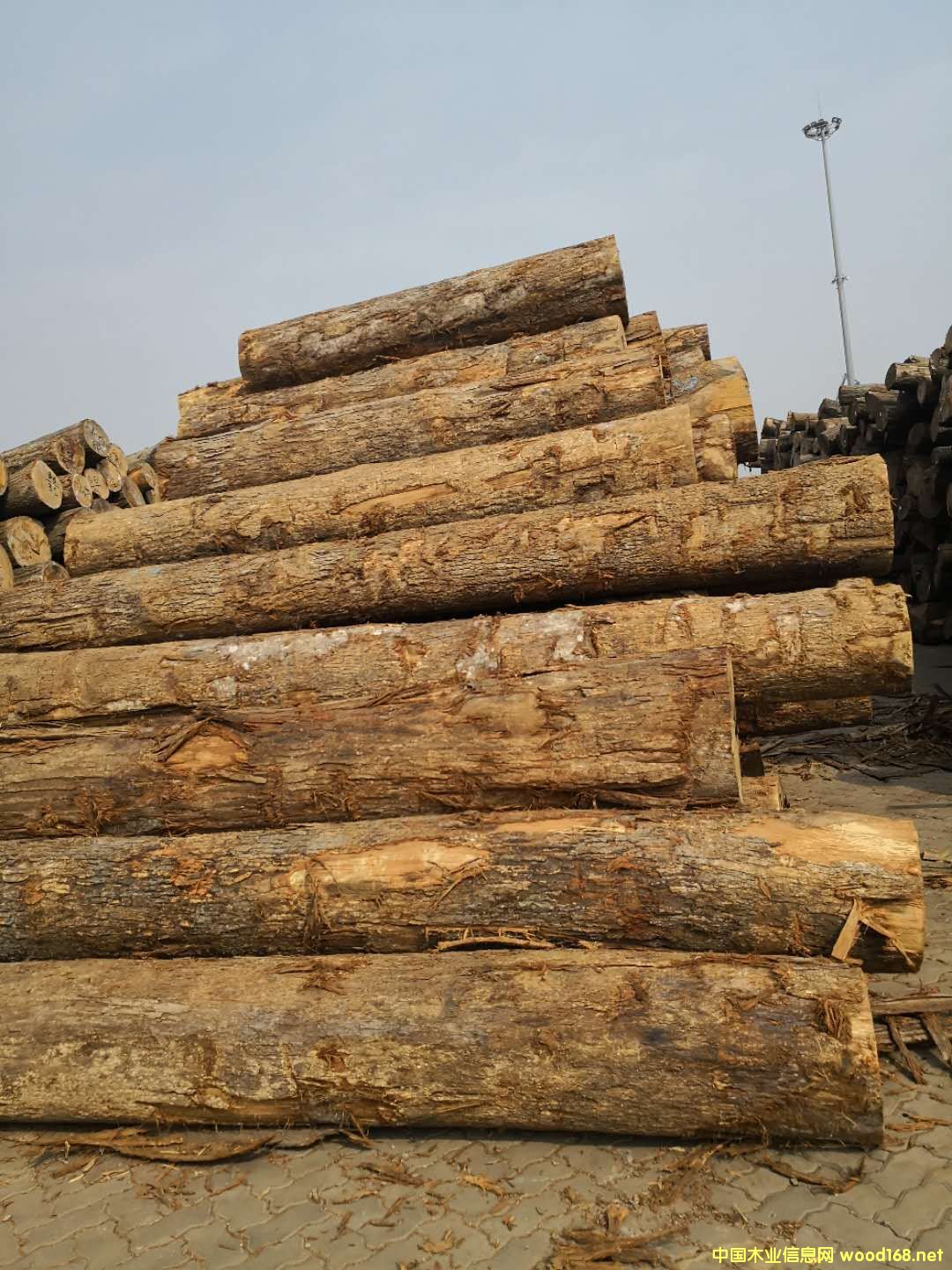 ���������Ԕ��(x��)��B