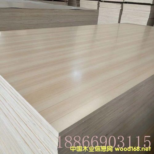 18mm�����������B��