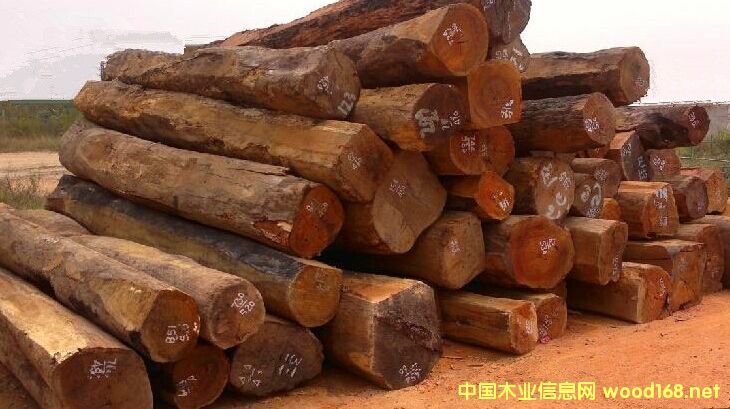 �����M���ϓ뻨��ԭľ