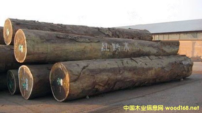 �����M�ڼt�Fľԭľ