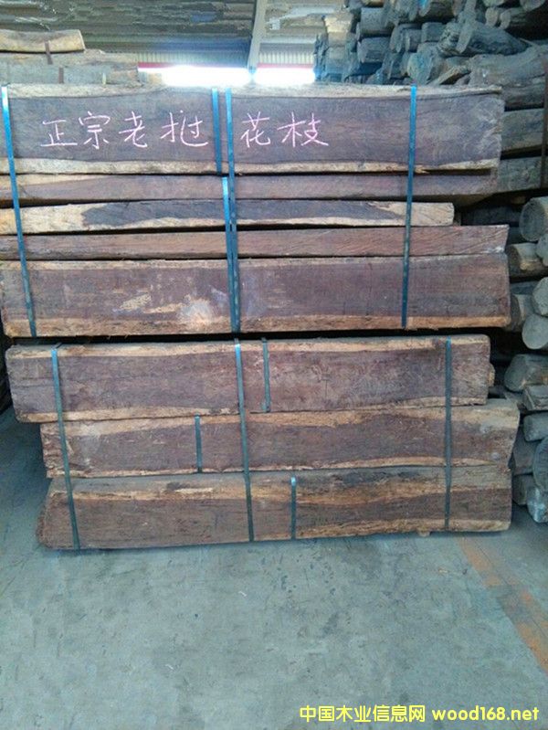 �����M(j��n)���ϓ뻨֦�����S̴ԭľ