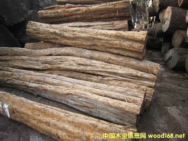 ��ľ�Ϲ�̴ԭľ