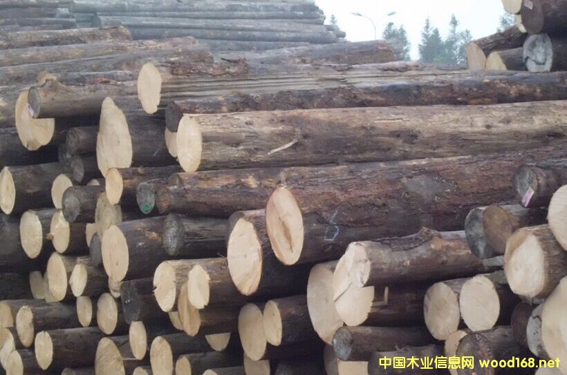 �����M��Īɣ�ȿ���ľԭľ