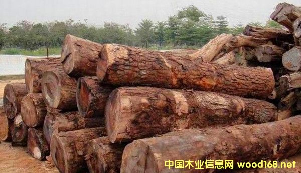 �����M(j��n)��Īɣ�ȿ˸��޻���ԭľ