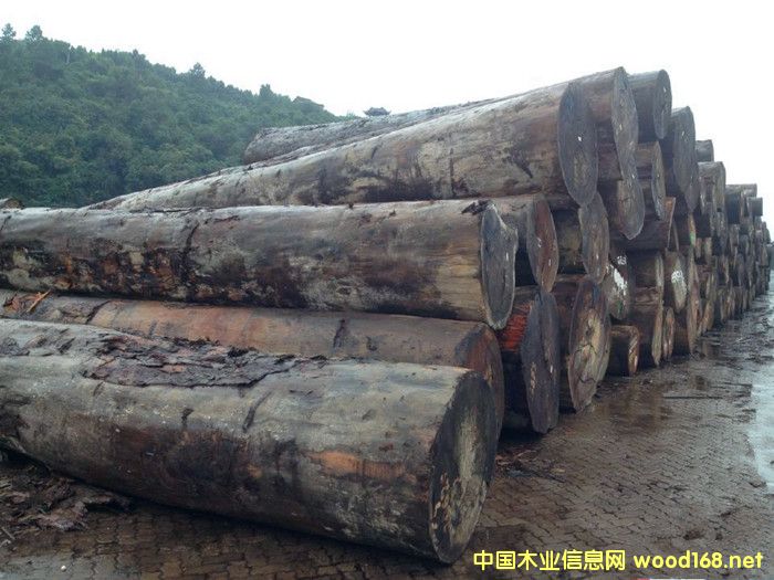 �����M(j��n)�ڊW����ԭľ