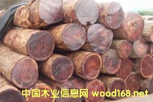 [��] �����M�ھ��黨��ľԭľ���l