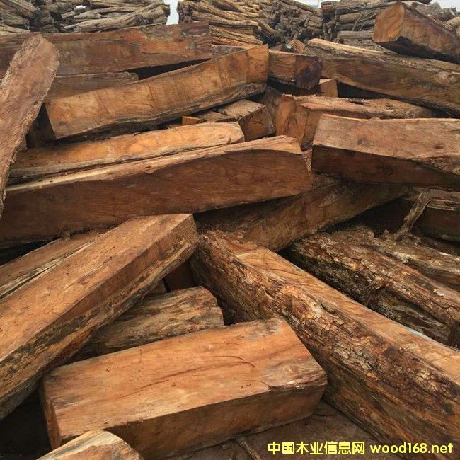 [��] �������ռӼ{���������