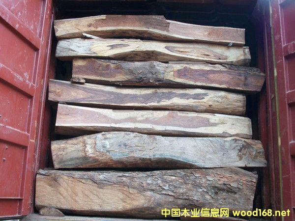 [��] �����M�ځ����惞�|���޻���