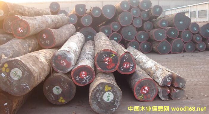 �����M�ڰ�������ͻ�ԭľ