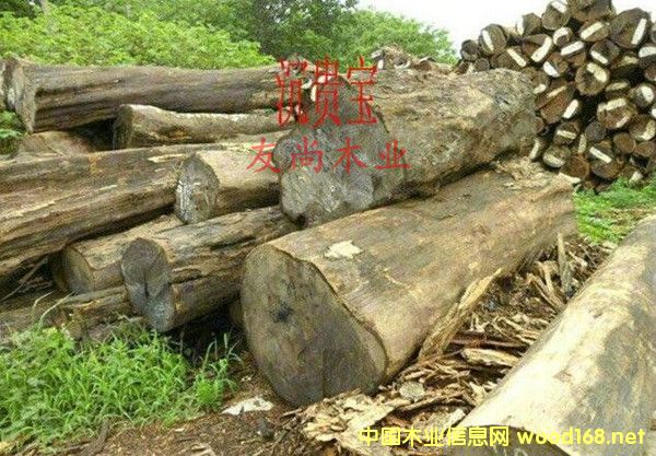 ���F��ԭľ