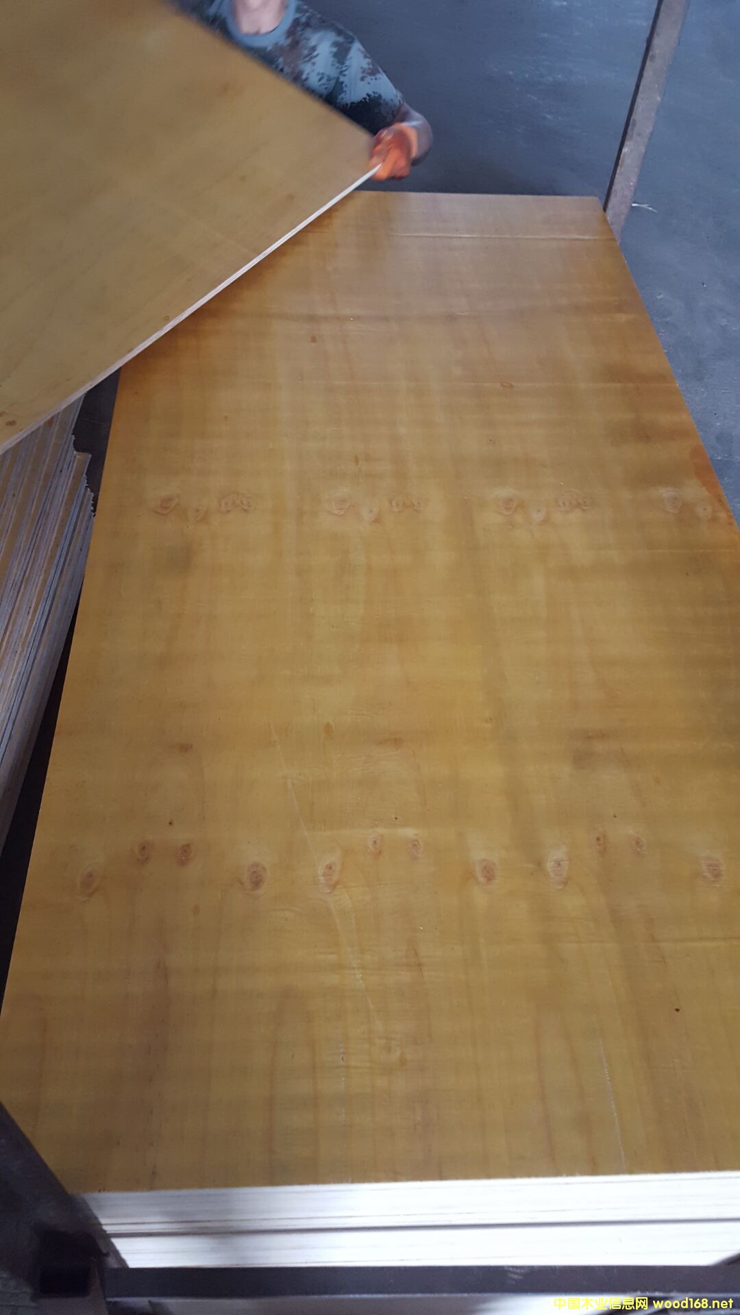 膠板的詳細介紹