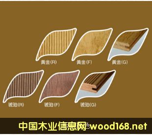 ����ɫ��Ԕ����B