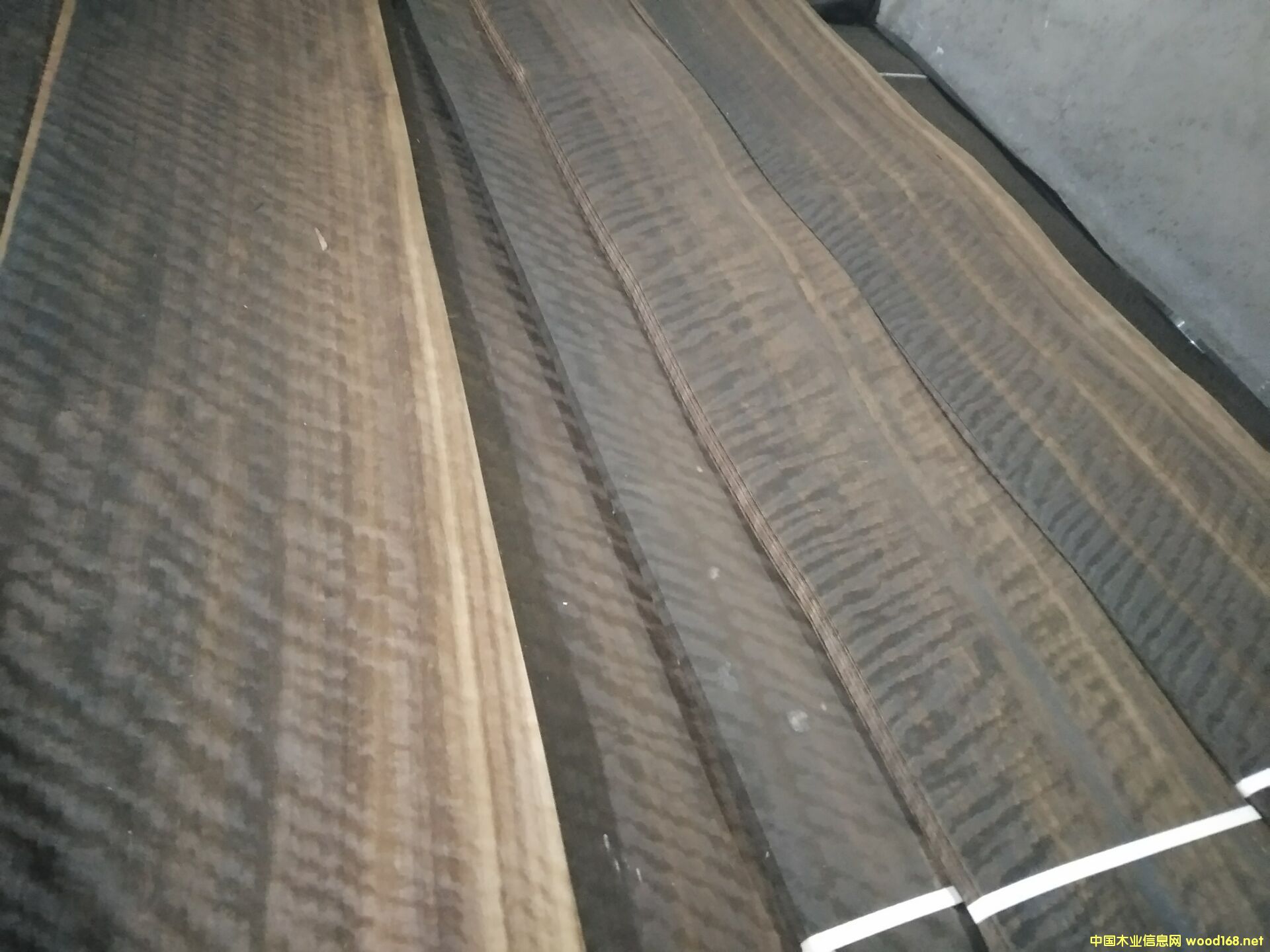 ��Ѭ�ȼ���Ӱ