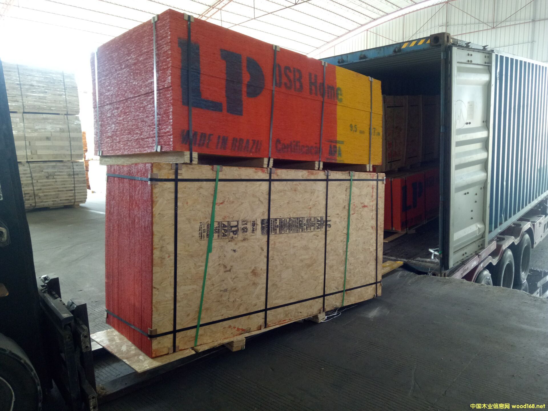 �����ٻ���LP