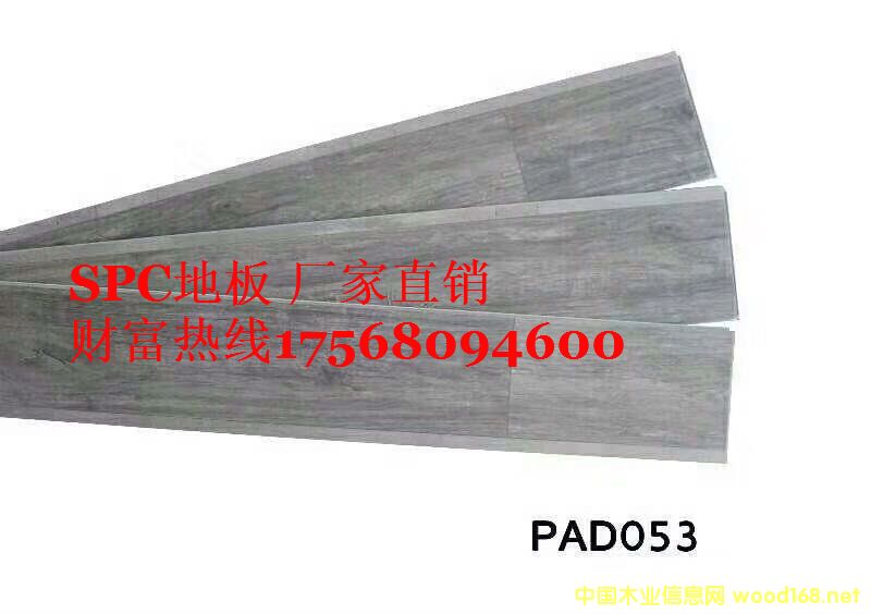 SPC �h���ذ�