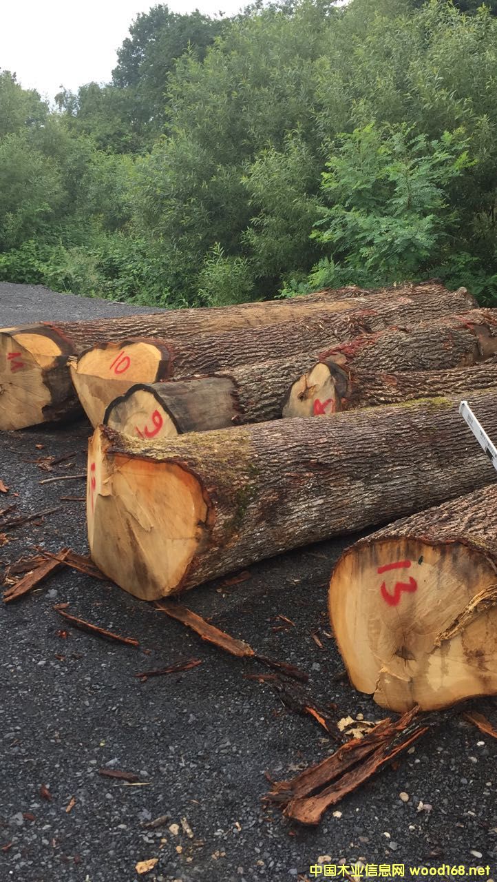 �W����ľԭľ��