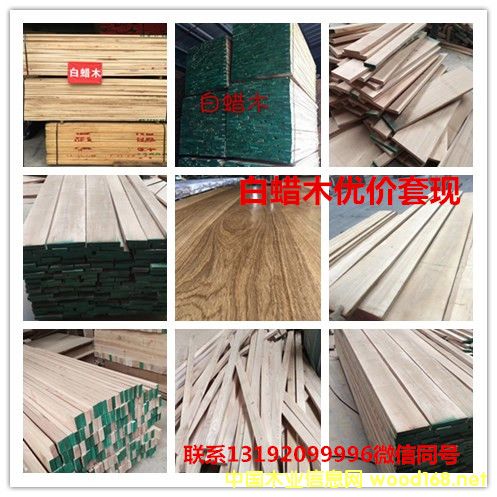 白蠟的詳細介紹