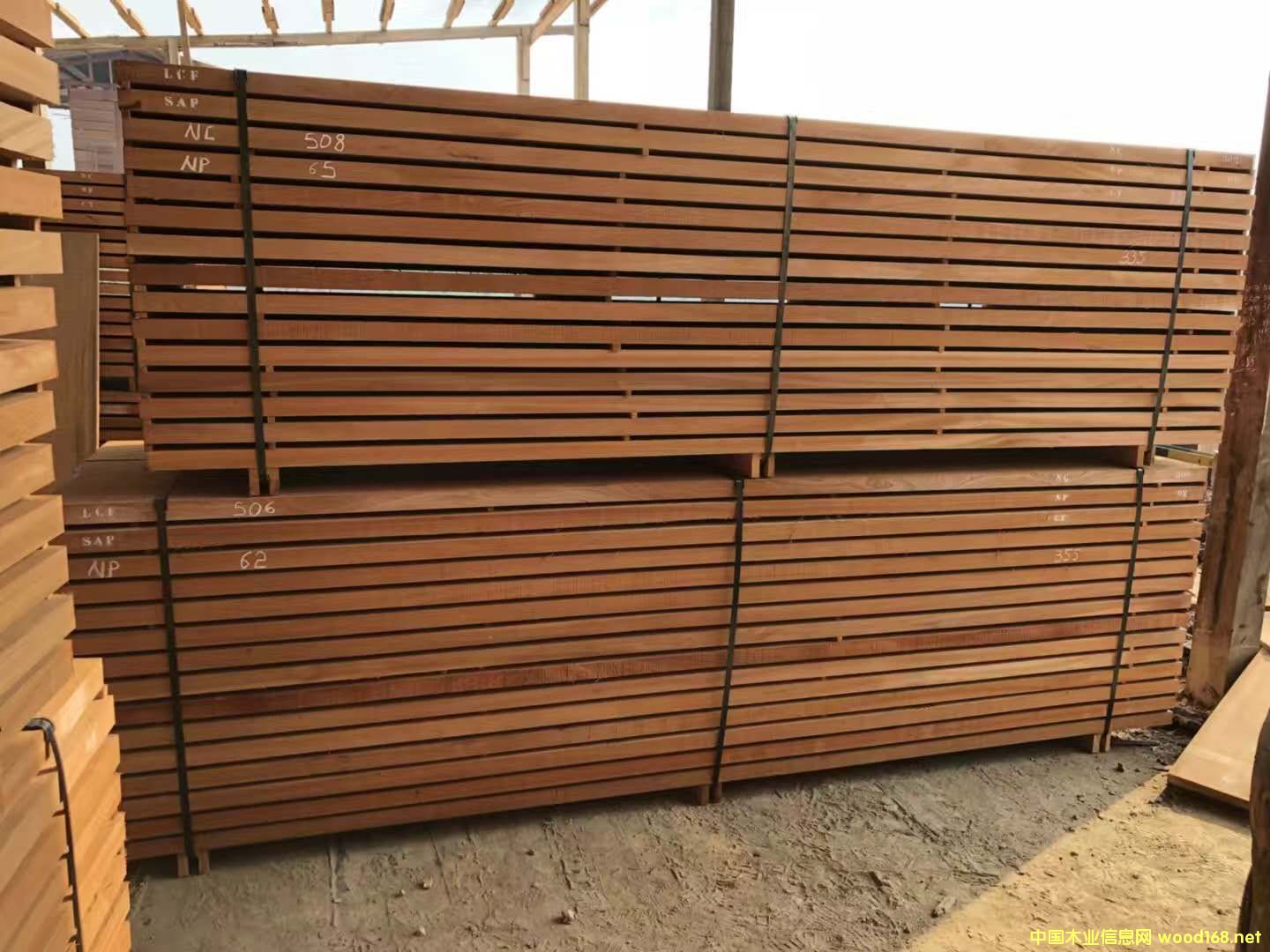 沙比利的詳細介紹