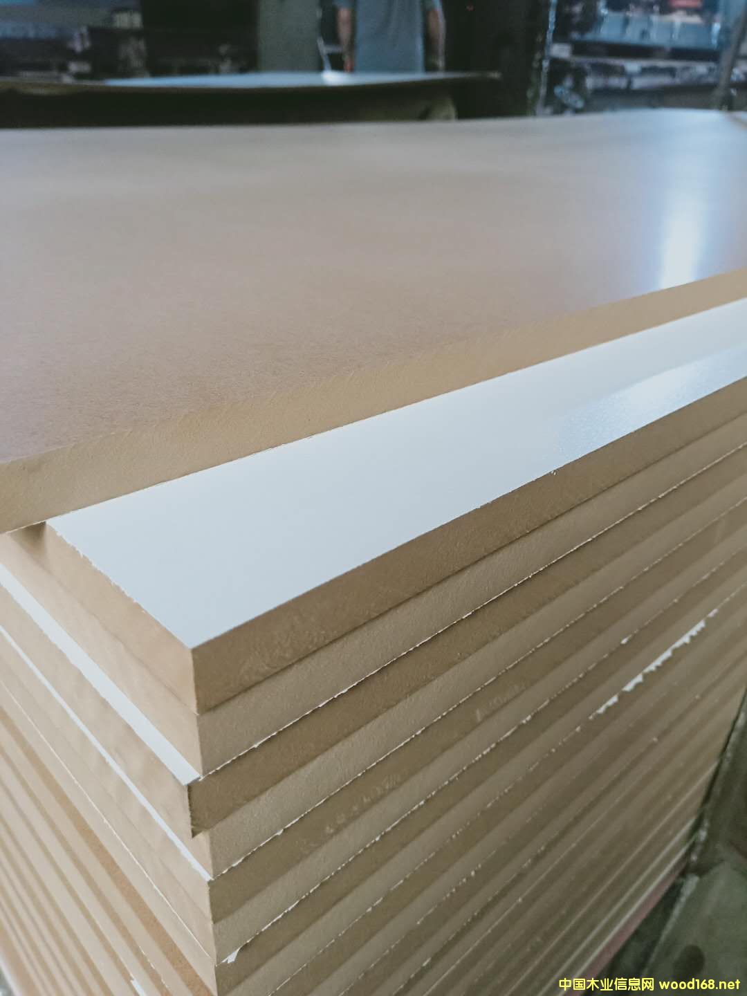 �ܶȰ��N��