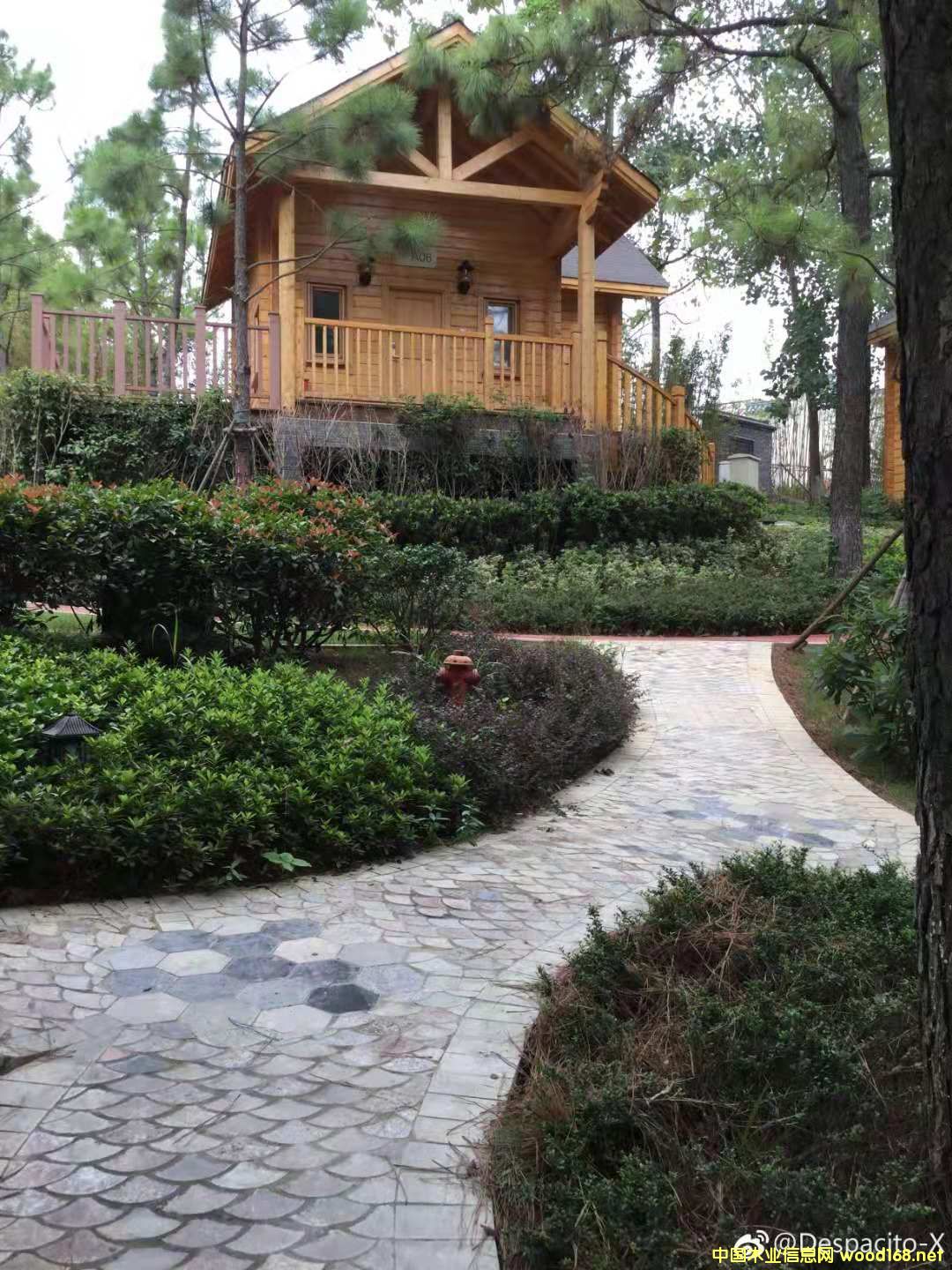 �p��ľ�Y��ľ��  ľ�ݏS��