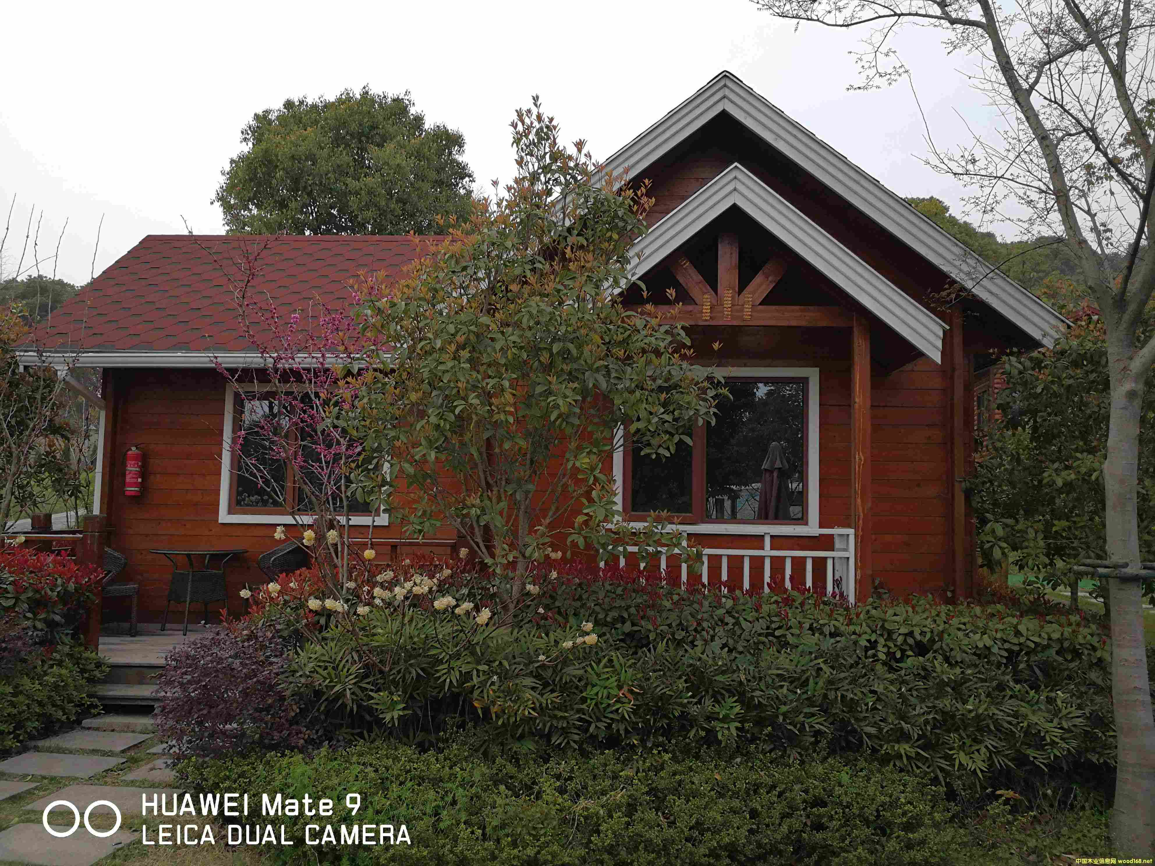 ľ�ݶ��ƏS�� 100ƽ������ľ����r