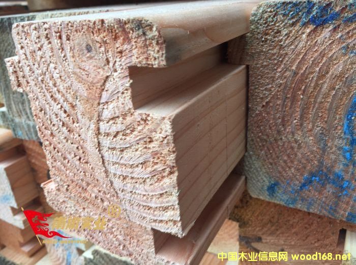 ����������ľ�Y������