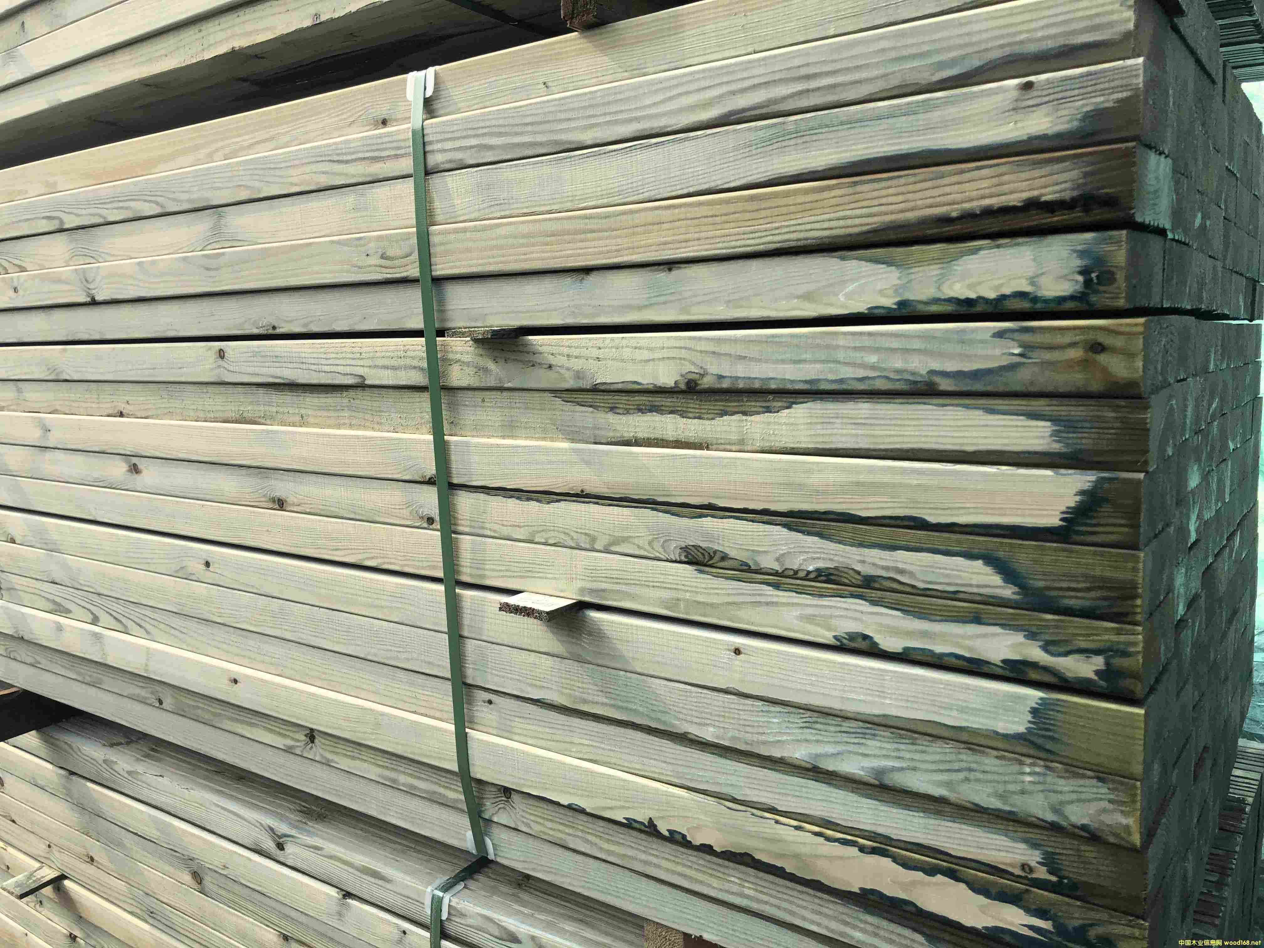 �Ϸ��ɏS�� �Ϸ��ɵăr��