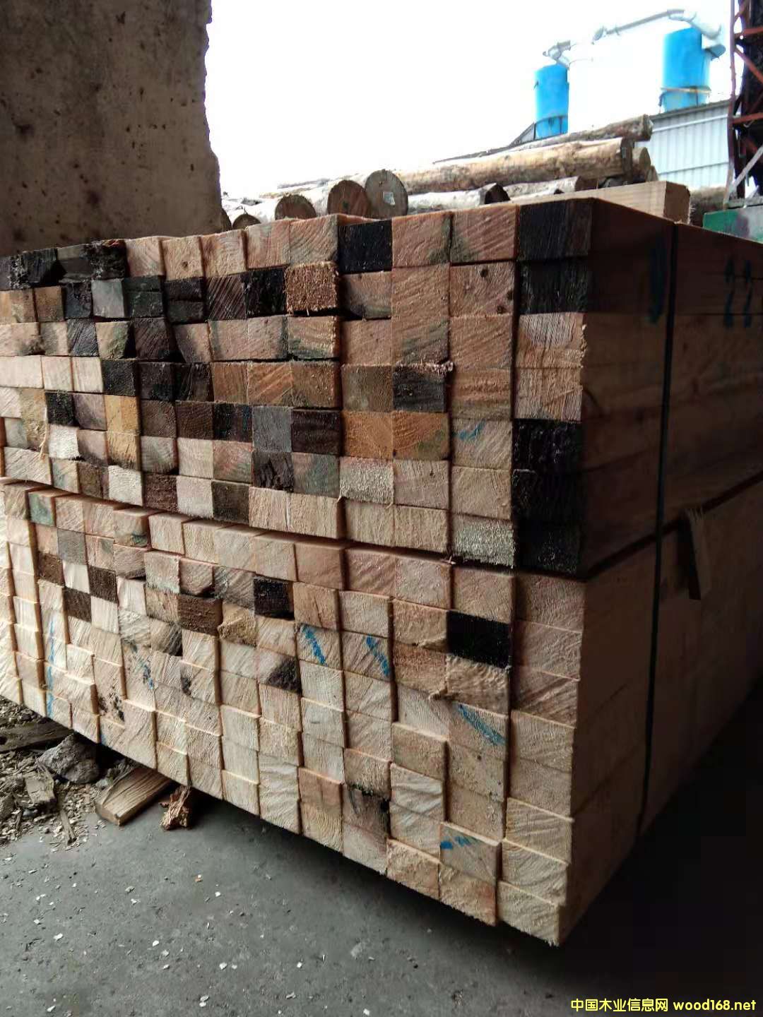 ����ľ��