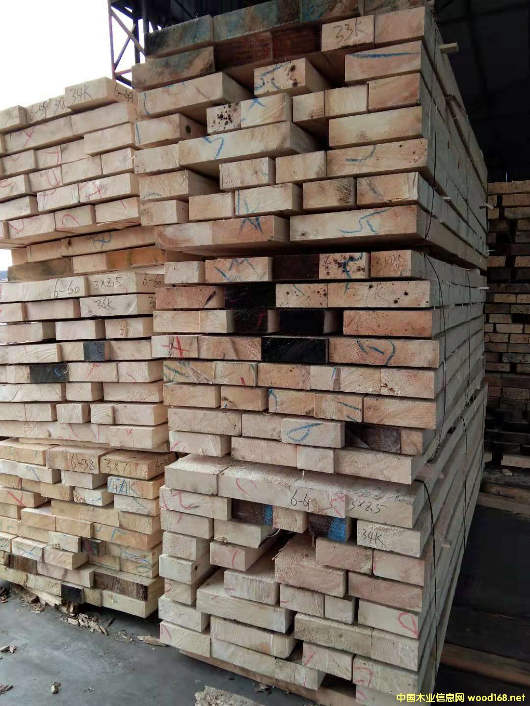 ��ɼ�o�Y��