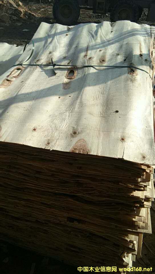 С�����Ԕ����B