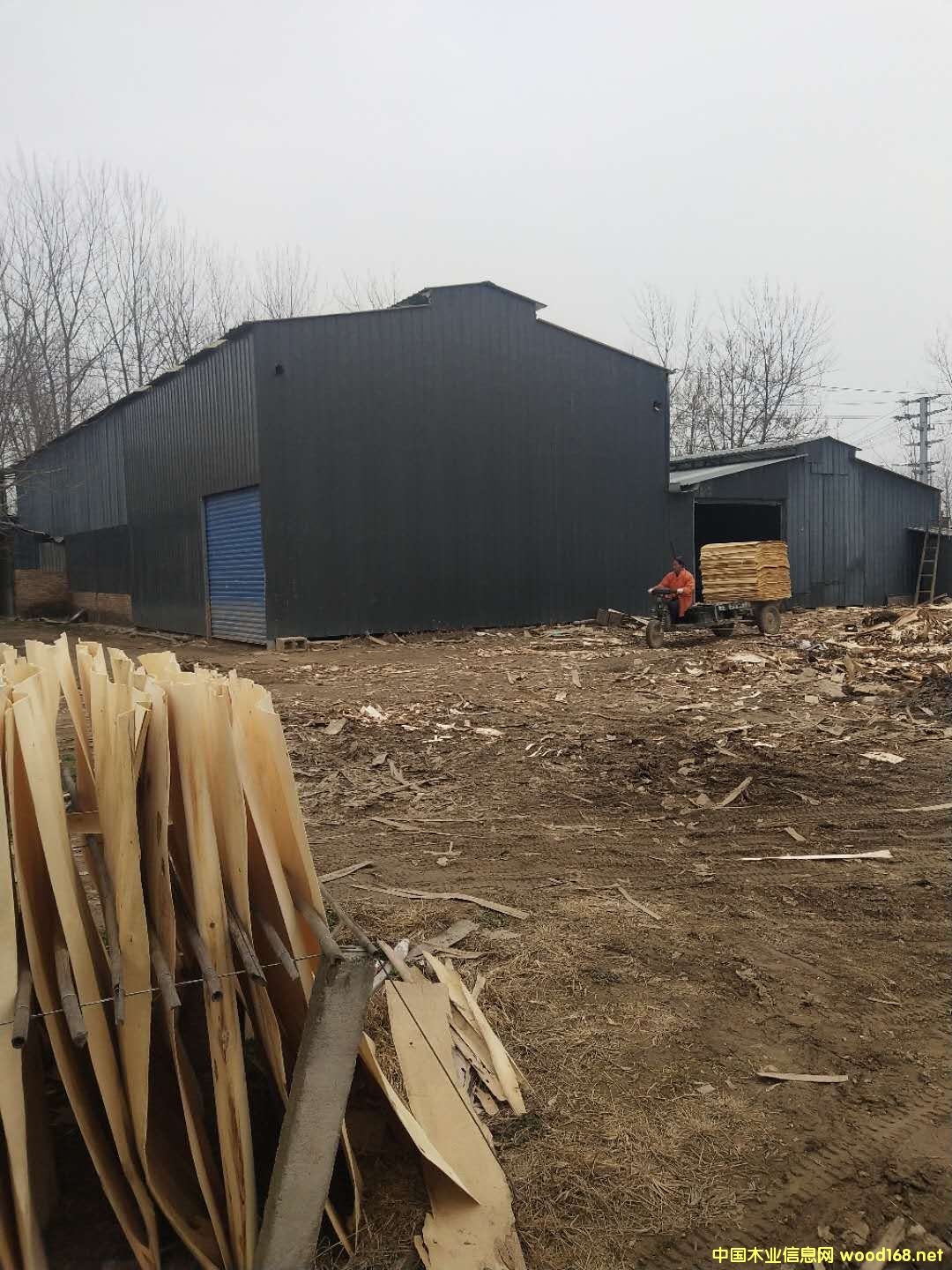 板材的詳細介紹