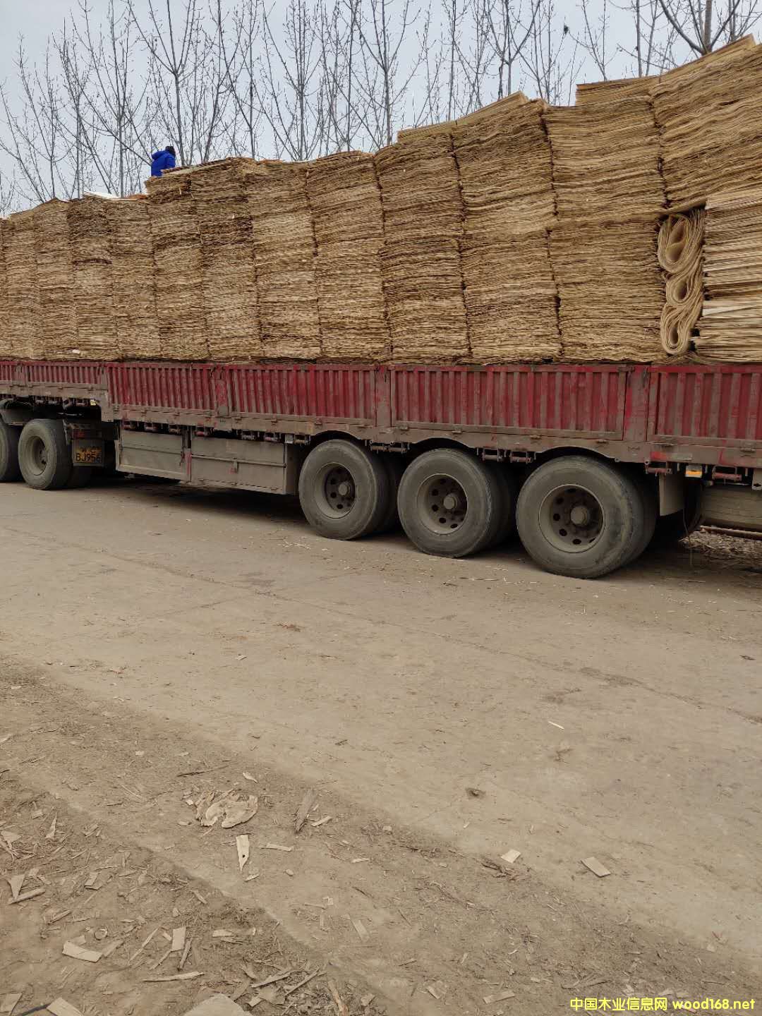 ��ĵ�Ԕ����B