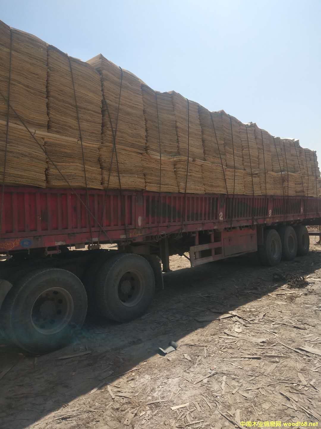 ��ĵ�Ԕ����B