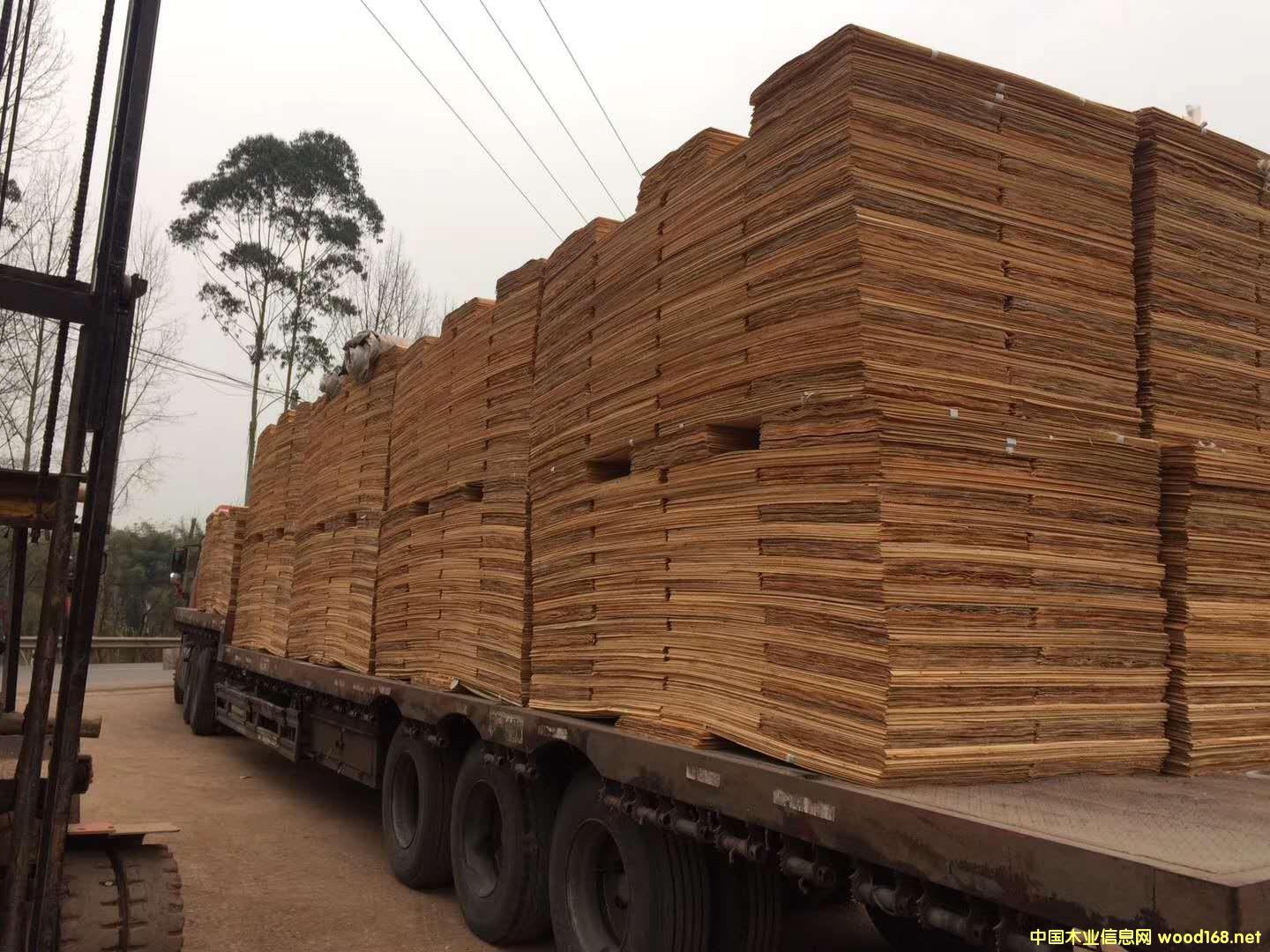 ��ĵ�Ԕ����B