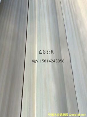 ���|��Ȼ��ɳ����ľƤ