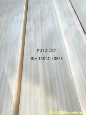 ���|��ȻKotoֱ�yľƤ