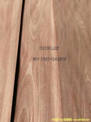 ���|��Ȼɳ����ɽ�yľƤ