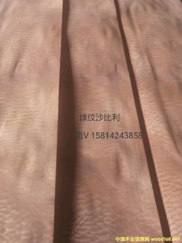 ���|��Ȼ��yɳ����ľƤ