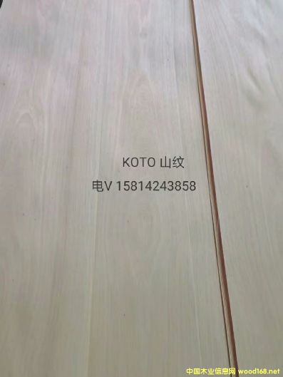 ���|��ȻKotoɽ�yľƤ