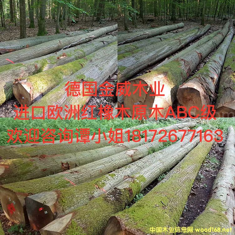 �����t��ԭľ