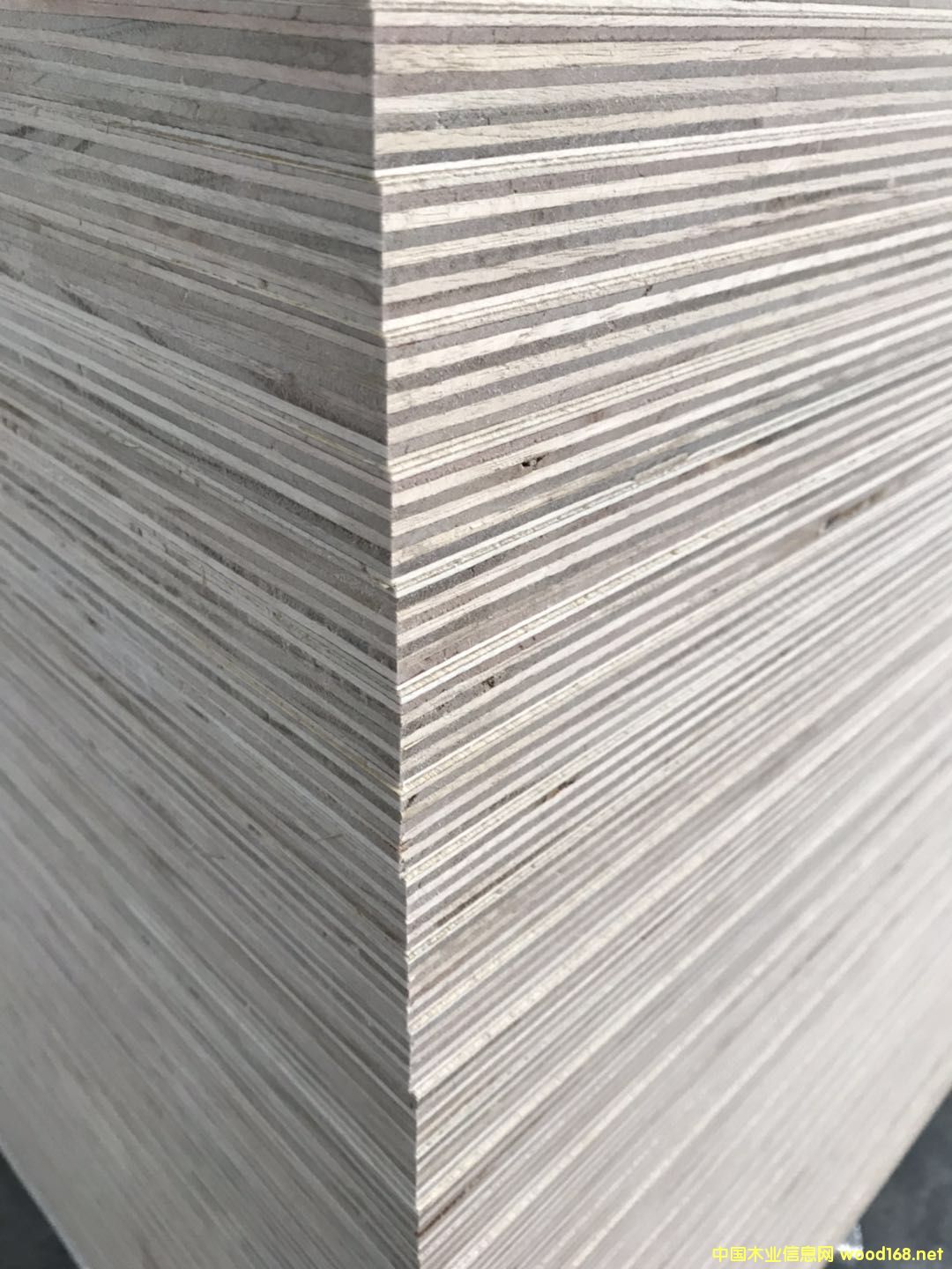 [��] 5-25����ӼҾ߰������ģ����B��