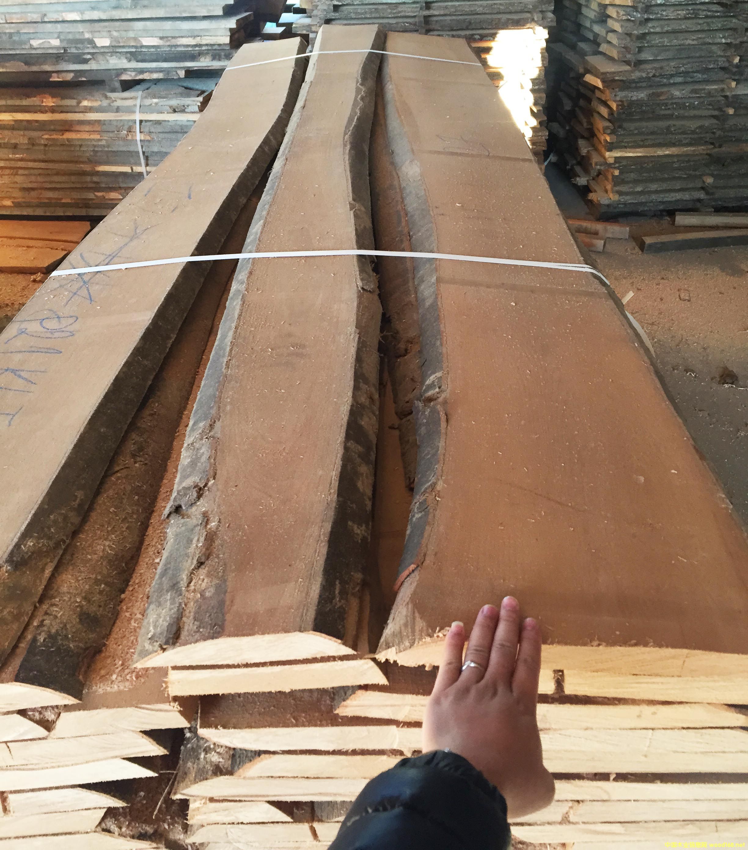 ��ľë߅��A��