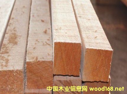 柳桉的詳細介紹